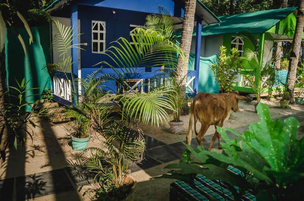 Secret Beach Bungalows, 팔로렘 외부 사진